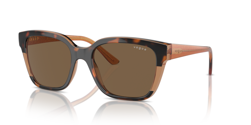  dark brown/top havana/transparent brown