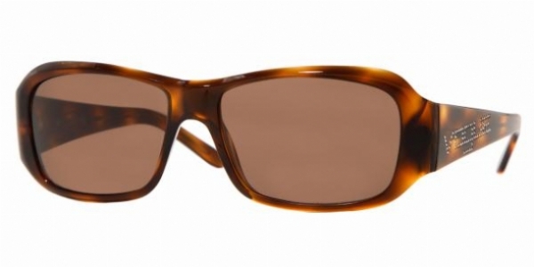  as shown/havana brown