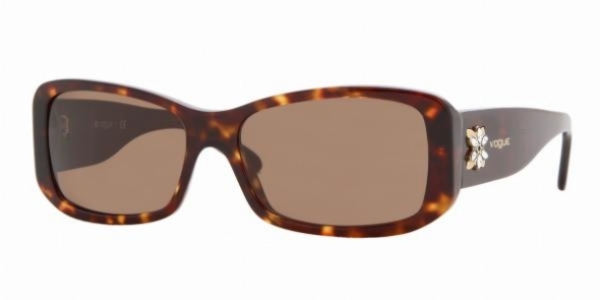  tortoise/brown