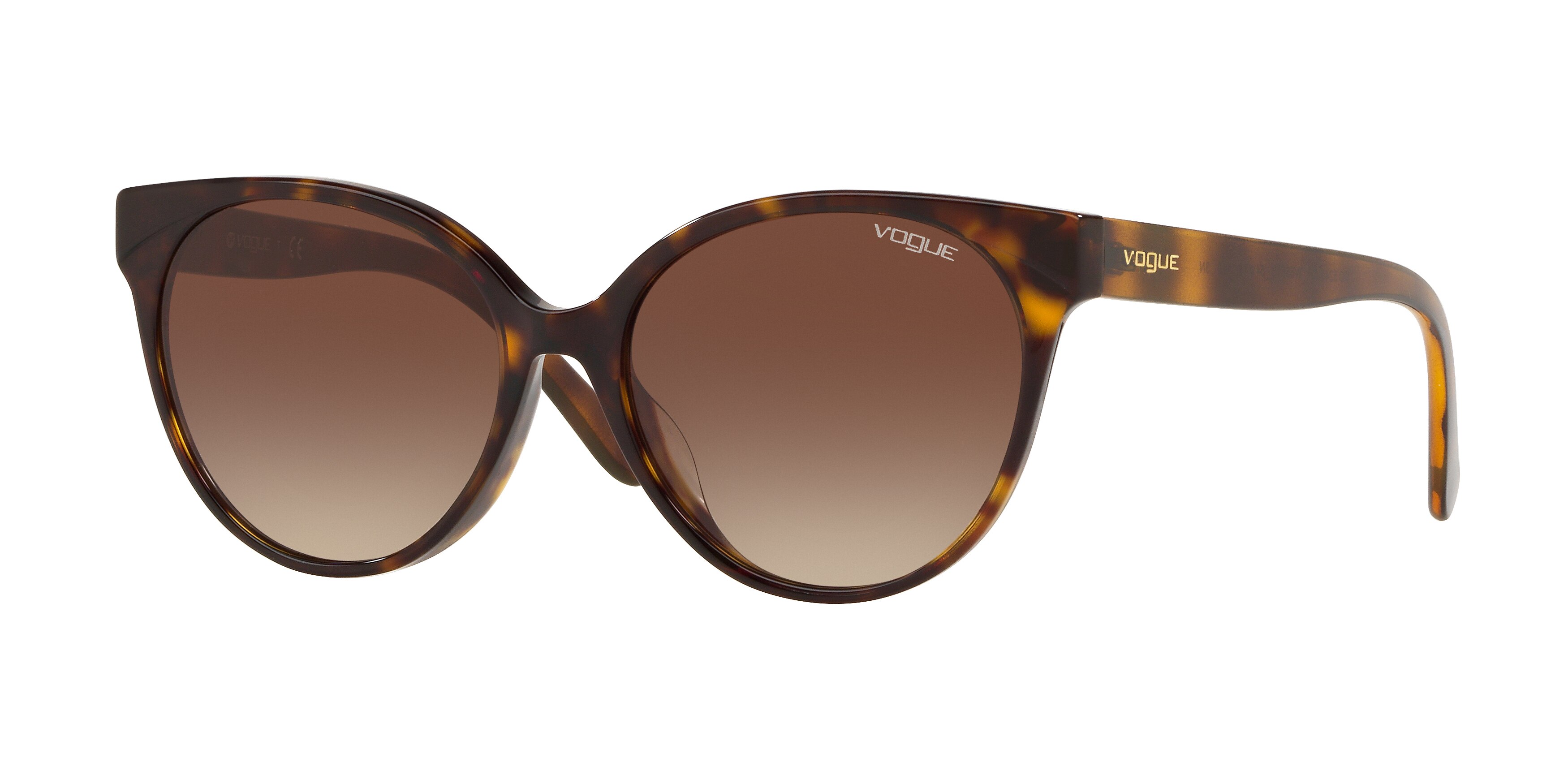  brown gradient/dark havana