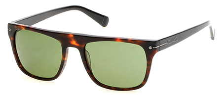  darkhavana/greenpolarized