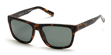  darkhavana/greenpolarized