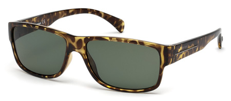  as shown/green polarized