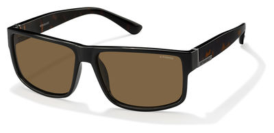  brown polarized/shiny black