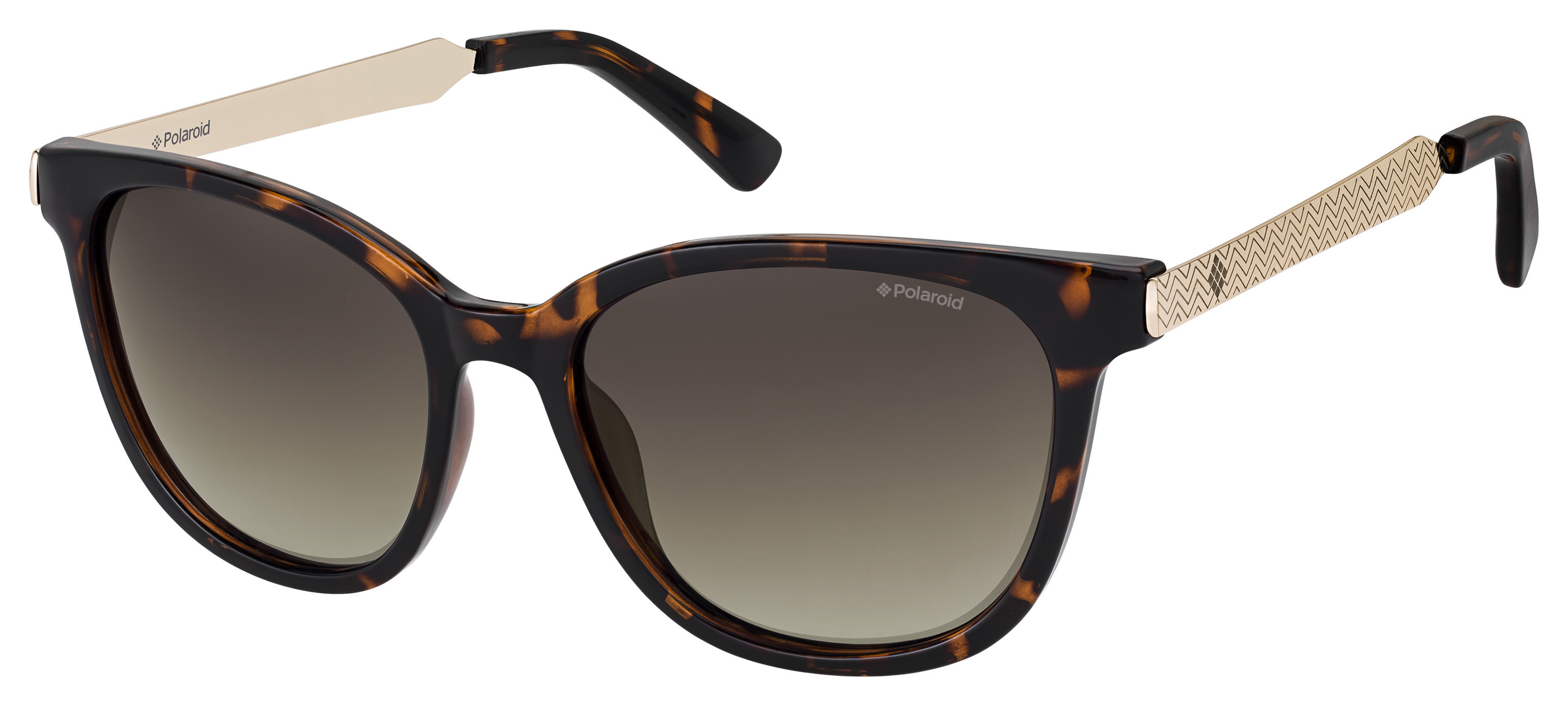  brown polarized ds/dark havana