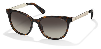  brown polarized ds/dark havana