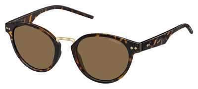  brown polarized/havana