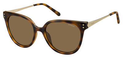  brown polarized/havana