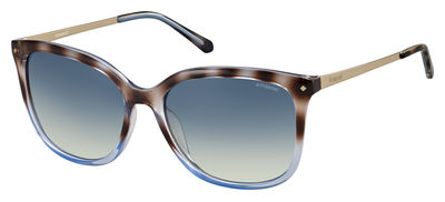  blue gradient polarized/shiny black havana gold