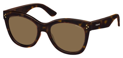  brown polarized/havana