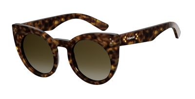  brown polarized ds/havana