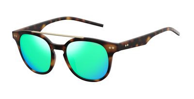  brown polarized/brown havana