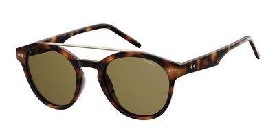  bronze polarized/matte havana