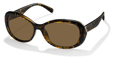  brown polarized/havana