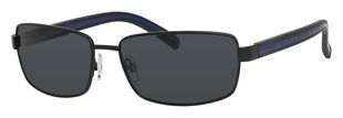  gray polarized/ruthenium