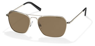  brown polarized/light gold