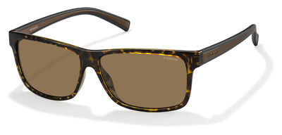  brown polarized/havana