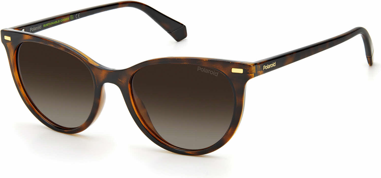  brown gradient polarized/dark havana