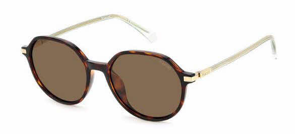  bronze polarized/havana
