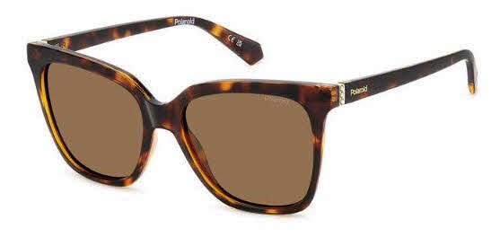  bronze polarized/havana