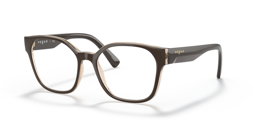  demo lens/top brown/flowers brown