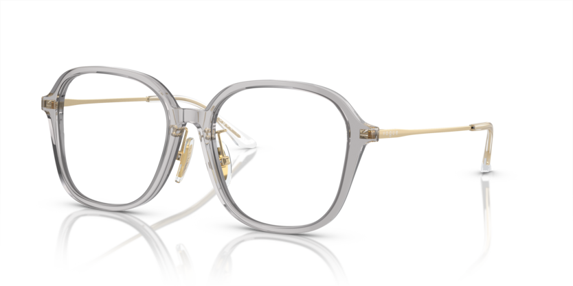  demo lens/transparent grey
