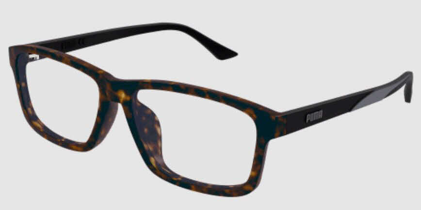  clear lens/havana