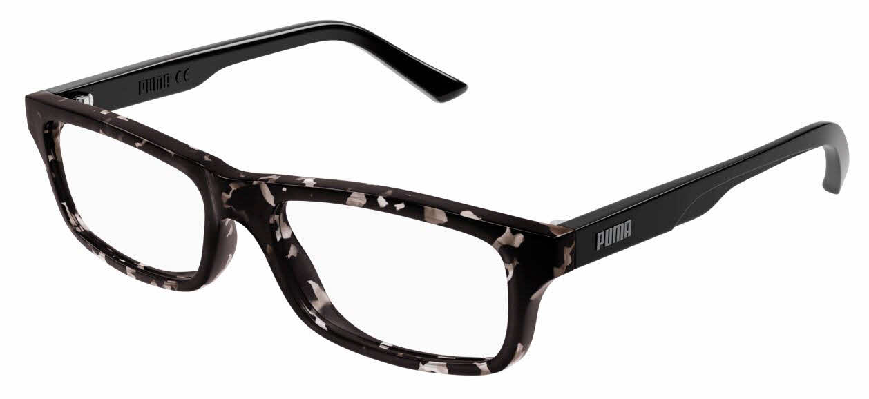  clear lens/havana
