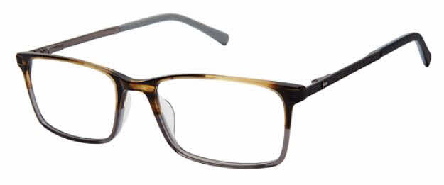  clear lens/tortoise grey