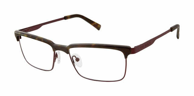  clear lens/tortoise