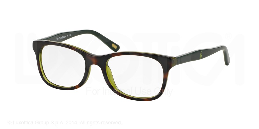  clear/tortoise greengreen