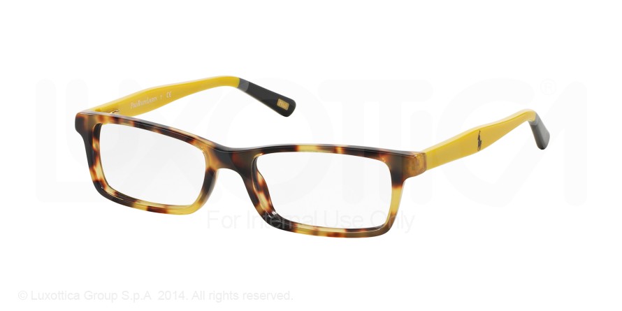  clear/spotty tortoiseyellow bl