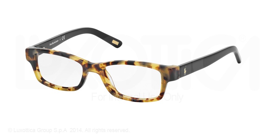  clear/spotty tortoise black