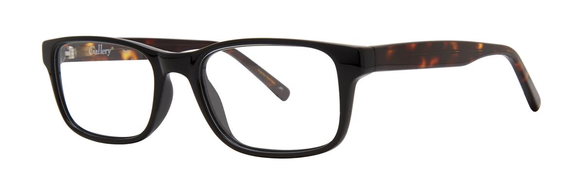  clear/black tortoise