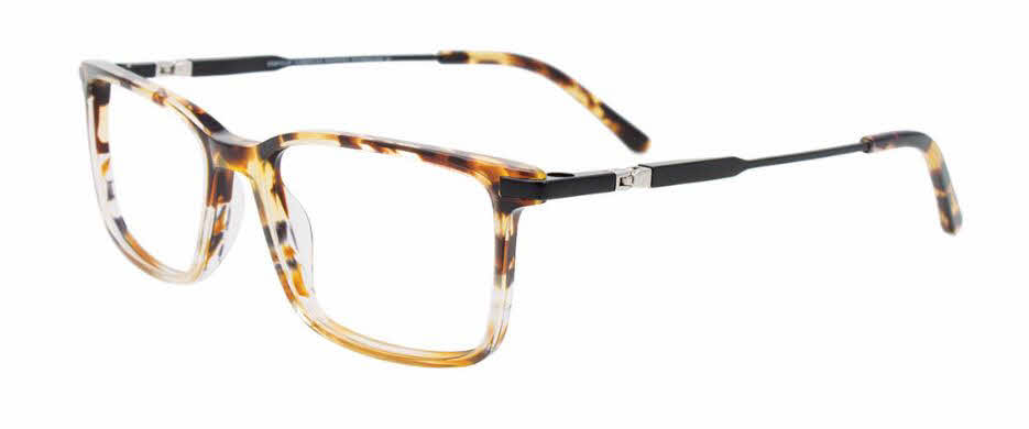  clear lens/tortoise