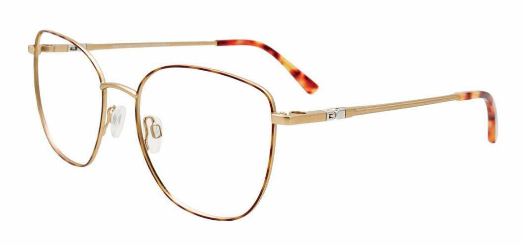  clear lens/tortoise