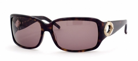  tortoise/brown polarized