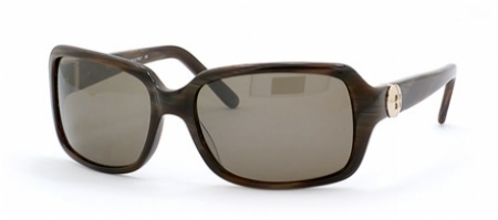  brown horn/brown polarized