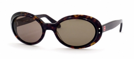  tortoise/brown polarized