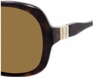  brown polarized/tortoise