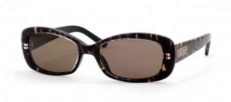  brown polarized/golden tortoise