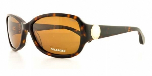  brown polarized/dark havana