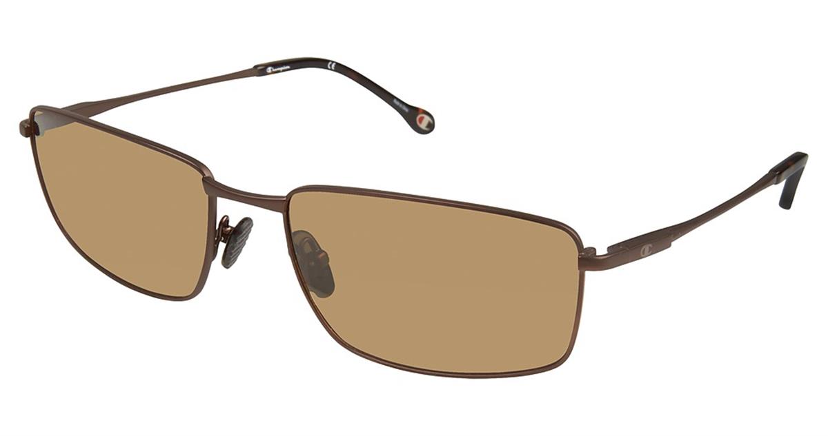  as shown/dark brown polarized