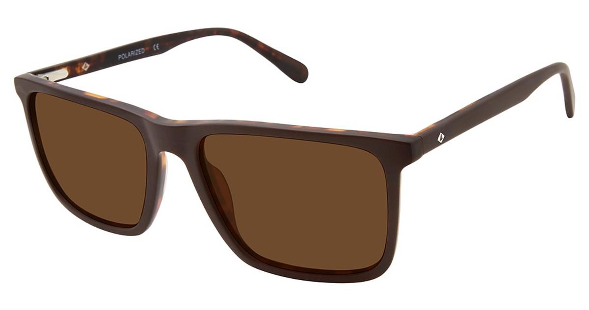  as shown/brown horn polarized