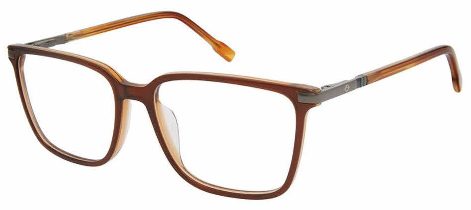  clear lens/trans brown