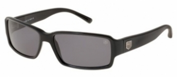  gray polarized/black