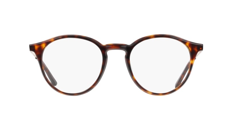 clear lenses/tortoise