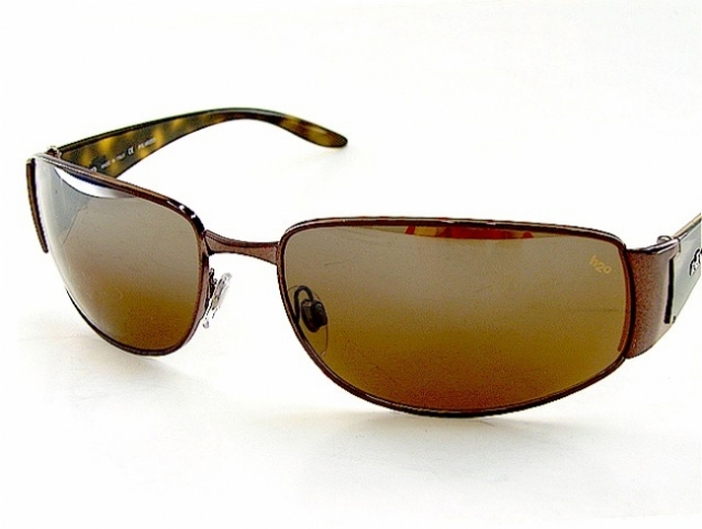  brown polarized/silver/brown