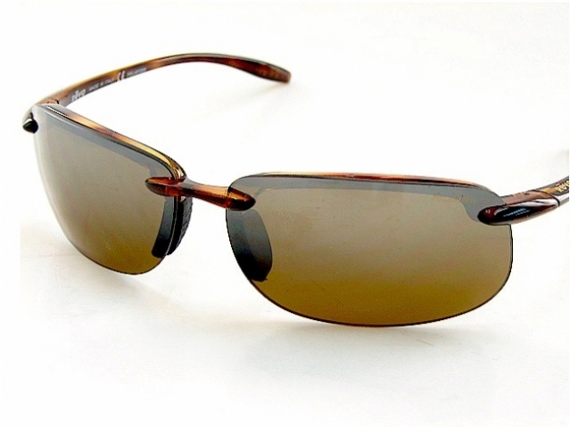  brown polarized/tortoise