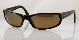  brown polarized/tortoise